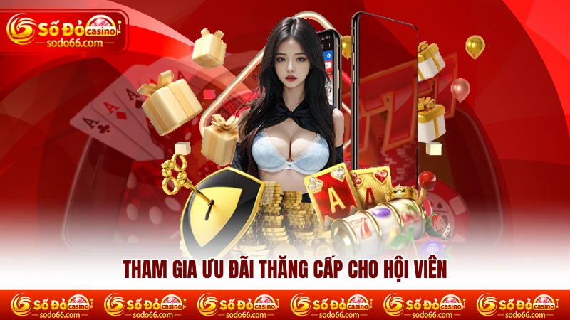 Tham gia ưu đãi thăng cấp cho hội viên