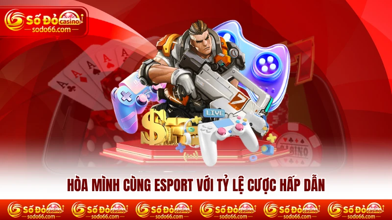 Hòa mình cùng esport với tỷ lệ cược hấp dẫn